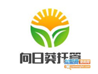 向日葵托管加盟