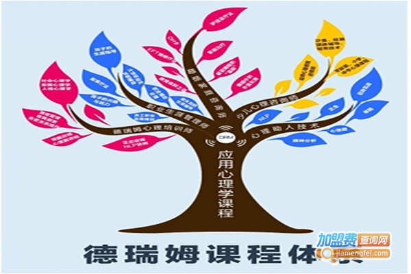 德瑞姆网校加盟费