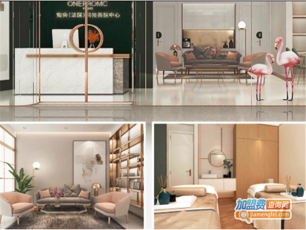 宛央科技美肤加盟