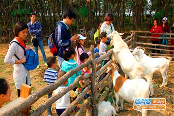 田妈妈亲子乐园加盟门店