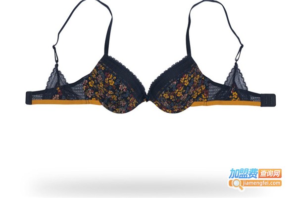 蒙娜丽莎内衣加盟费