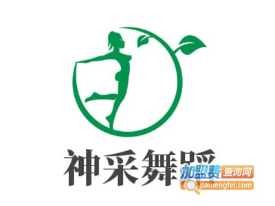 神采舞蹈加盟费