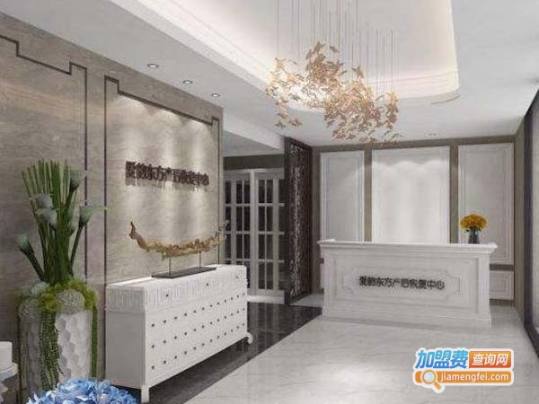 爱韵东方产后恢复加盟费