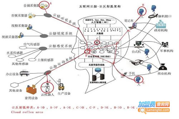 香港MIC脑动力全脑开发