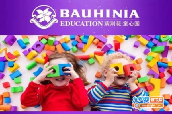 紫荆花童心园加盟费