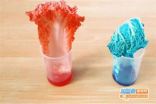 科学芈盒STEAM教育加盟费