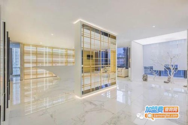 美丽王朝智能皮肤管理加盟费