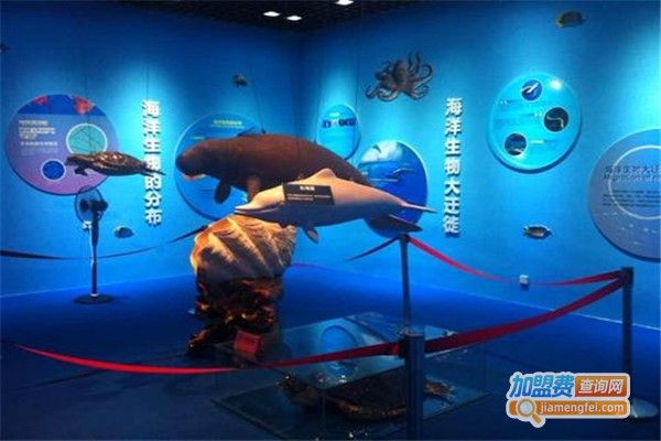 海洋教育加盟费