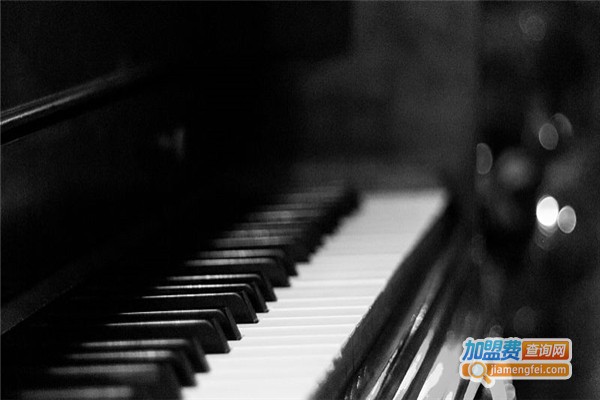 佳音艺术培训中心加盟费