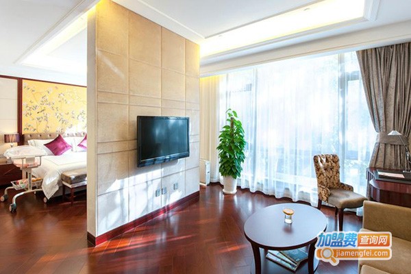 爱馨汇月子会所加盟