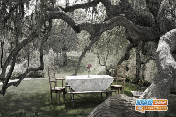 敦巴顿健康岛加盟费