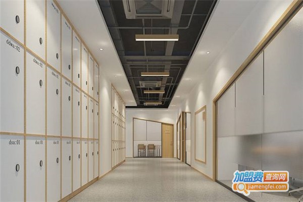 星空教育加盟费