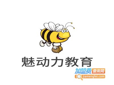 魅动力教育加盟费