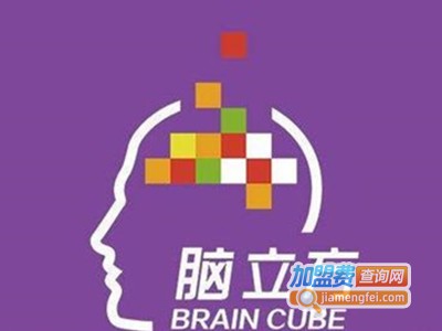 脑立方教育加盟费