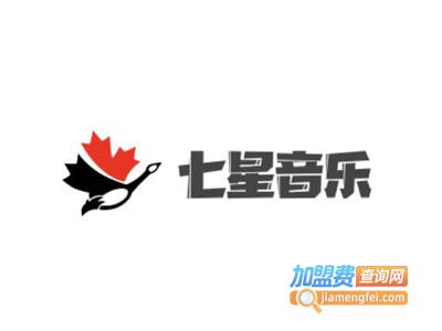 七星音乐加盟费