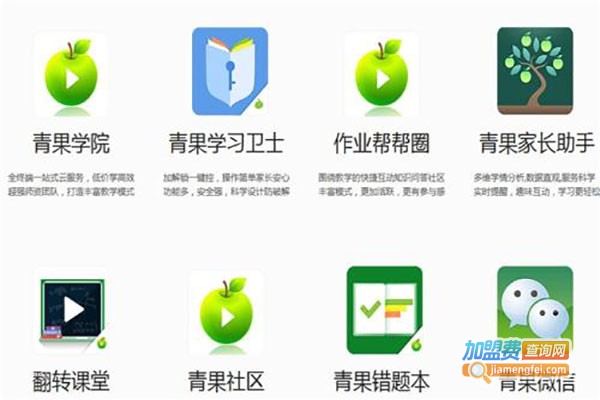 青果时代教育加盟费