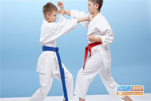 韩城国际跆拳道加盟费