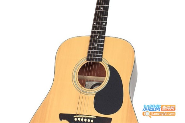 飞天吉他音乐学苑加盟费