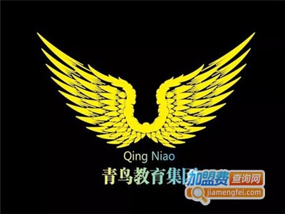 青鸟教育加盟费