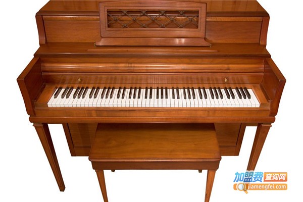 艺凡琴行加盟费