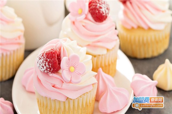 西点训练营加盟费