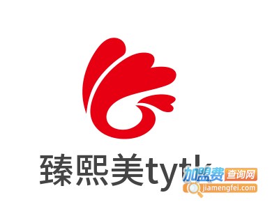 臻熙美tytk皮肤管理中心加盟费