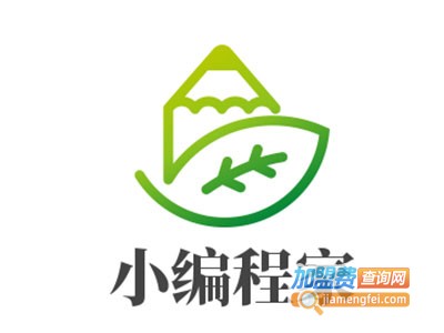 小编程家加盟费
