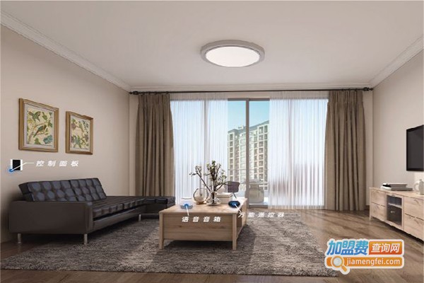 大东家智能家居