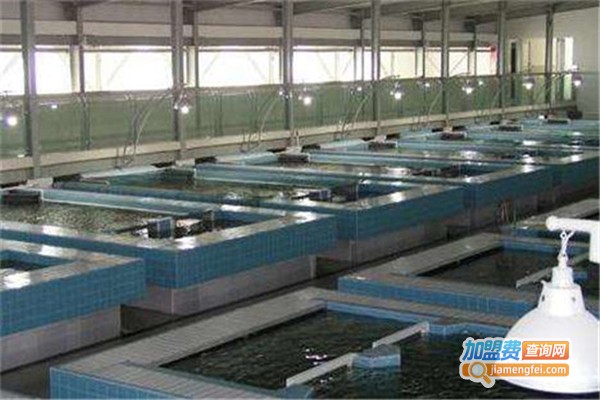 渔乐仙宫养殖设备加盟费