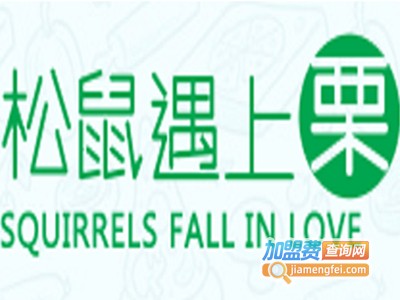 松鼠遇上栗休闲食品加盟费