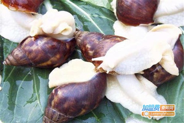 隆城白玉蜗牛养殖加盟门店