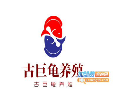 古巨龟养殖加盟费