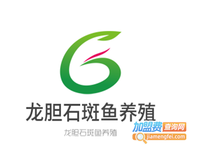 龙胆石斑鱼养殖加盟费