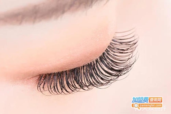 新之肤美容连锁店加盟费