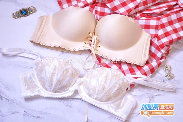 忠心伴侣内衣加盟费