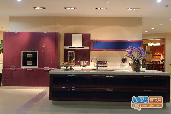 丽虹橱柜加盟费