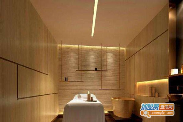 婳绯秘制中药美容加盟