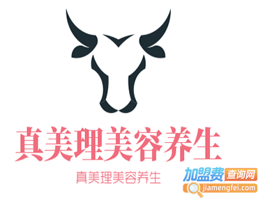 真美理美容养生加盟费