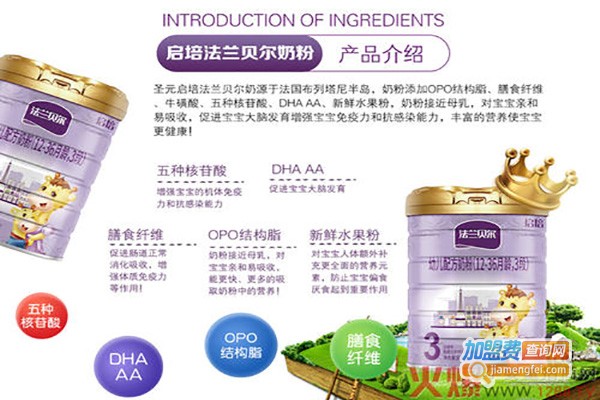 启培思维数学加盟费