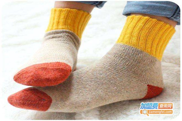 鼎新袜业加盟费