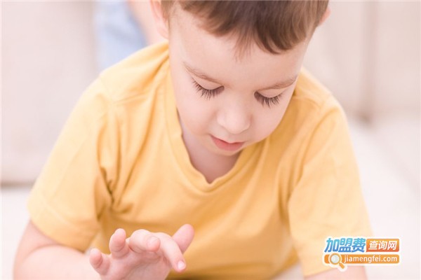 竞思注意力加盟