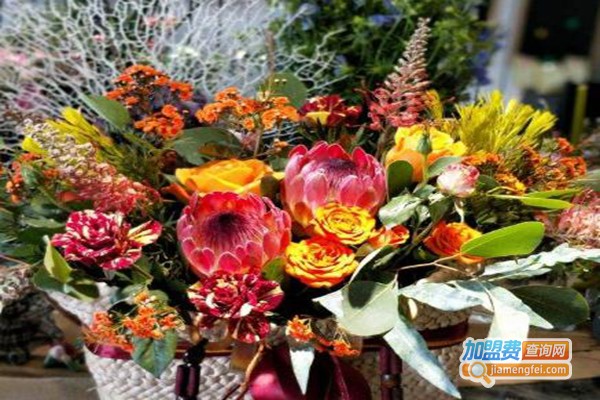 一号花铺加盟费