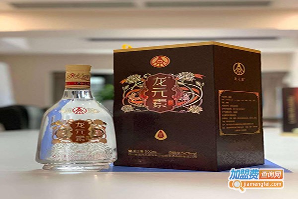 龙元素酒加盟门店