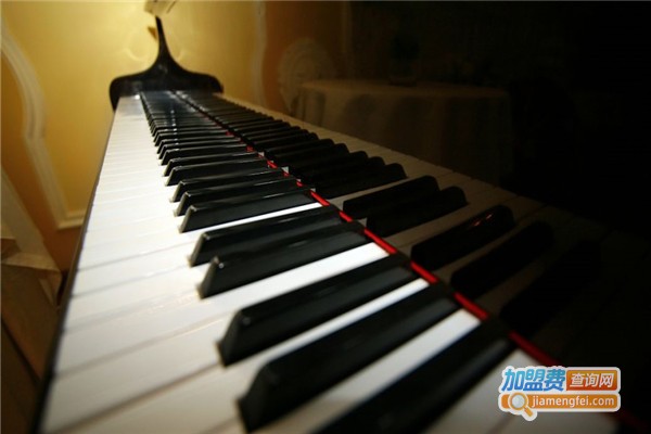 哆哆钢琴艺术学校加盟费