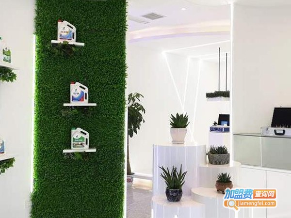 爱美净除甲醛加盟费