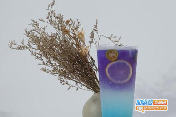 兮蒙蜜茶饮品加盟费