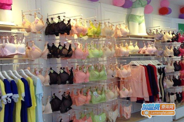 佳盛轩内衣加盟费