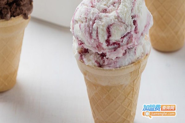 纽斯纳冰淇淋加盟门店