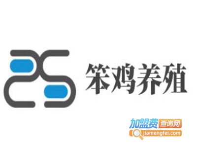笨鸡养殖