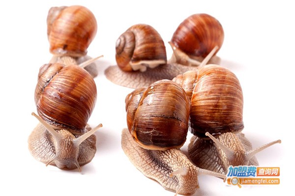 隆城白玉蜗牛养殖加盟门店